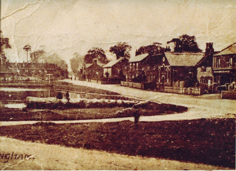 Photograph. Post Office Pit- tree log crumpled (Great Massingham Archive).